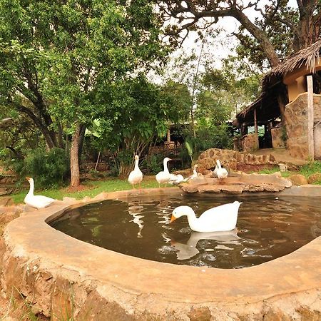 Naiberi River Campsite & Resort エルドレット エクステリア 写真